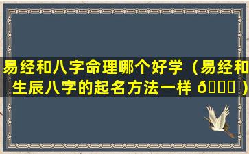 易经和八字命理哪个好学（易经和生辰八字的起名方法一样 🕊 ）